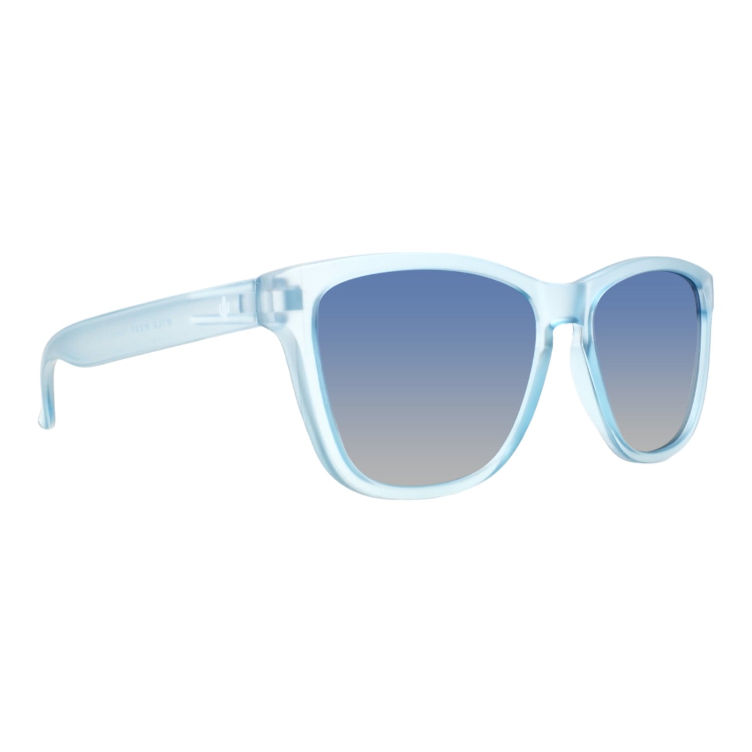 Wayfarer Sunglasses